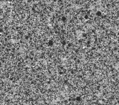 Gypsum Board Cross Section CAT Xray