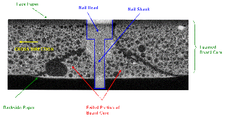 2D slice representation of a gypsum board nail pull test