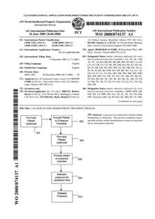 Example Patent