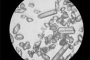 Natural and Synthetic Gypsum Analysis